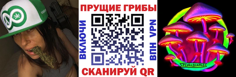KRAKEN tor Володарск Галлюциногенные грибы ЛСД