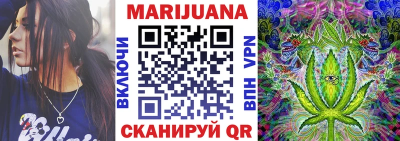 где найти наркотики Володарск Канабис сатива